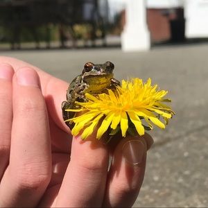 Meet your Posher, Adrienne